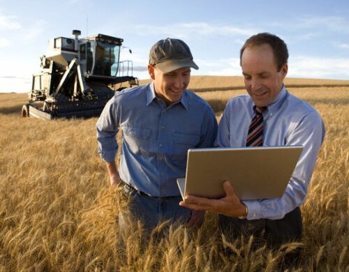 Agricultores que investem na gestão da propriedade conseguem aumentar a rentabilidade em até 20%