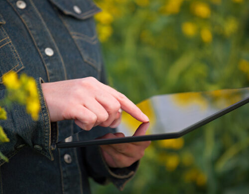 Por que a transformação digital pode revolucionar o setor agrícola?