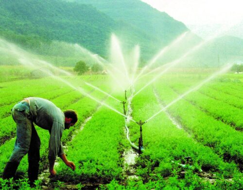 Agricultores também devem se adequar ao racionamento de água