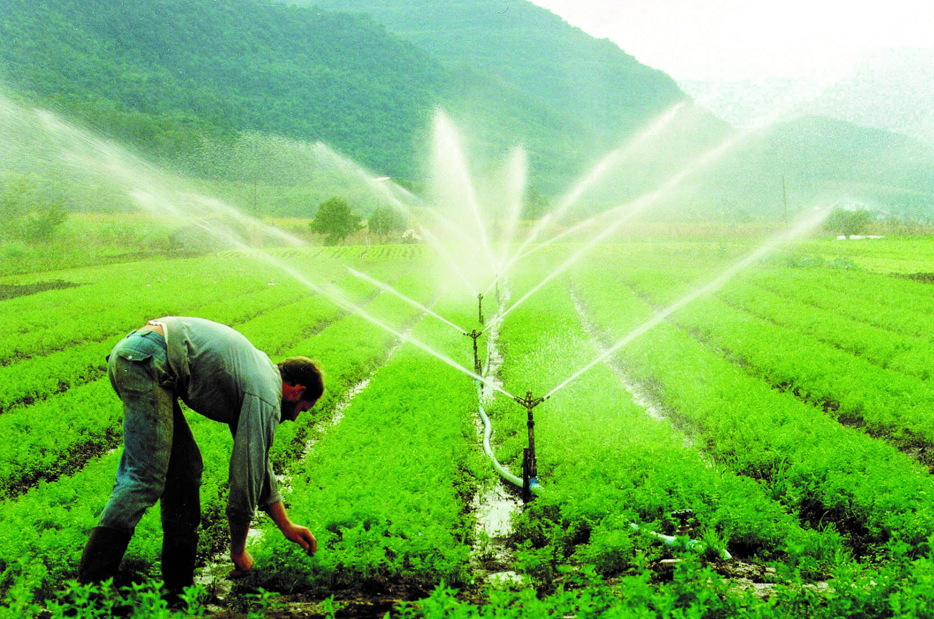 O Que é O Racionamento De Agua - FDPLEARN