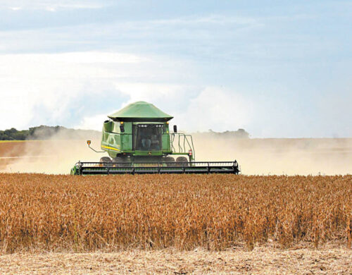 Veja os impactos da supersafra agrícola na renda dos agricultores