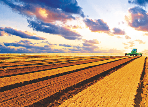 Depois da chuva, safra começa oficialmente com expectativa de produção recorde