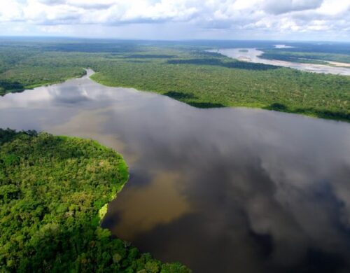 Senador sugere a criação de um imposto mundial para a preservação da Amazônia